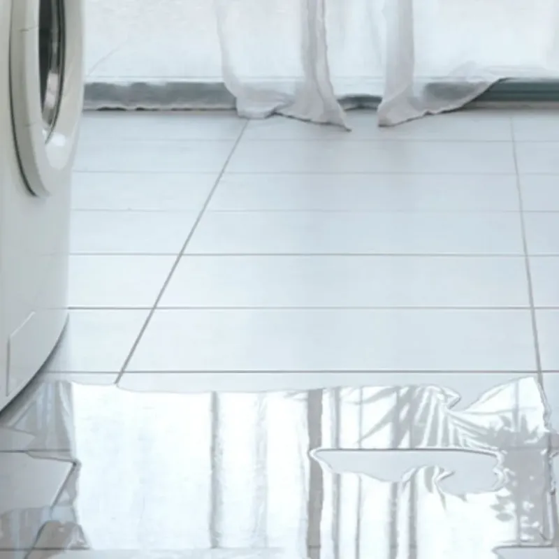 Appliance Leak Cleanup in Niles, MI